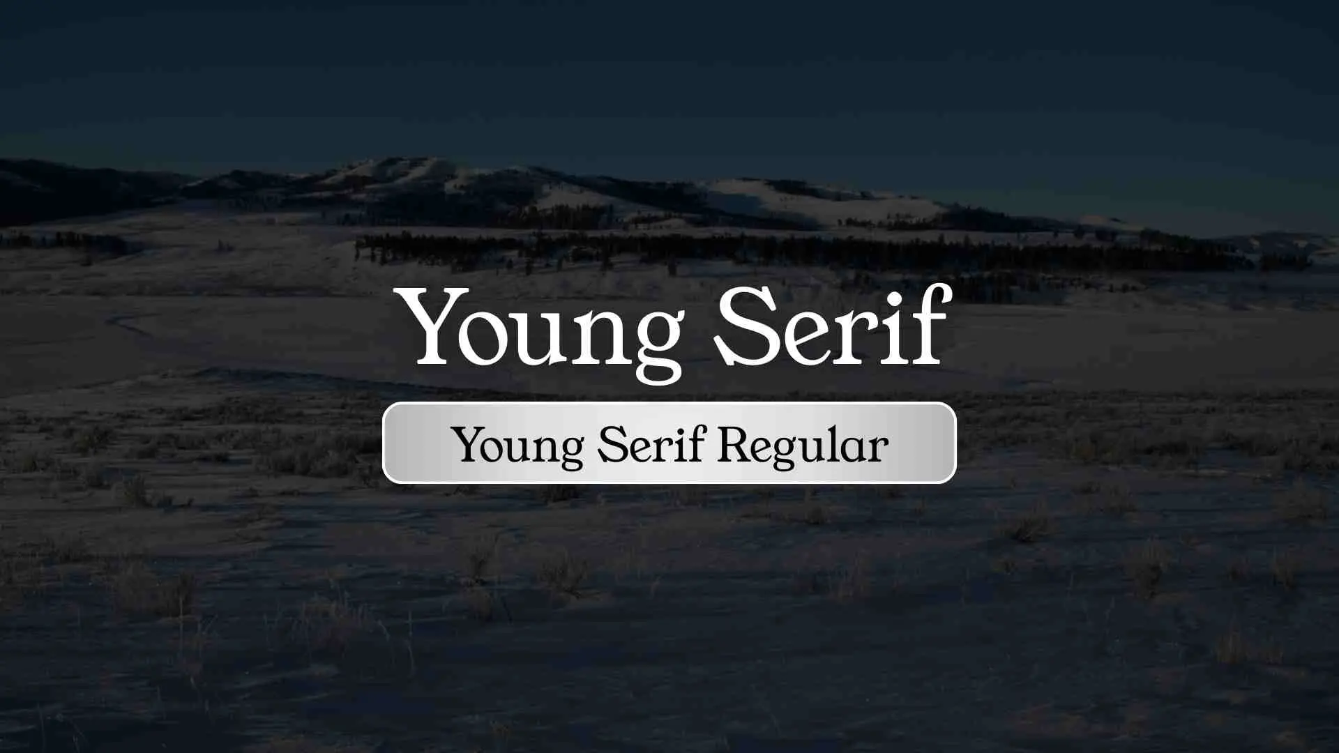 Young Serif Regular